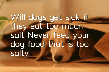Will dogs get sick if they eat too much salt? Never feed your dog food that is too salty