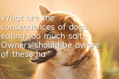 What are the consequences of dogs eating too much salt? Owners should be aware of these hazards