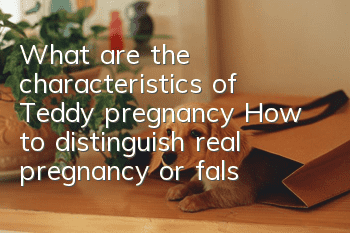 What are the characteristics of Teddy pregnancy? How to distinguish real pregnancy or false pregnancy?