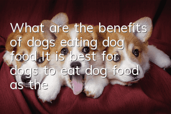 What are the benefits of dogs eating dog food? It is best for dogs to eat dog food as the main food.