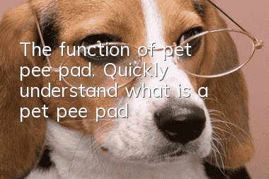 The function of pet pee pad. Quickly understand what is a pet pee pad?