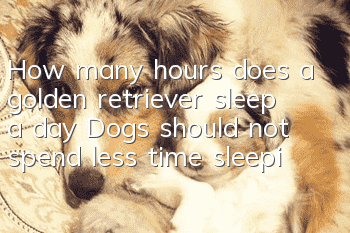 How many hours does a golden retriever sleep a day? Dogs should not spend less time sleeping