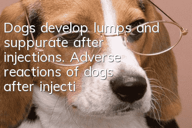 Dogs develop lumps and suppurate after injections. Adverse reactions of dogs after injections