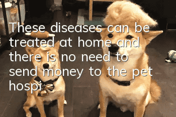 These diseases can be treated at home, and there is no need to send money to the pet hospital!