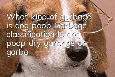 What kind of garbage is dog poop? Garbage classification: Is dog poop dry garbage or garbage?
