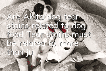 Are Akita dog tear stains related to dog food? Tear stains must be related to more than just dog food!