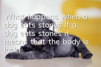 What happens when a dog eats stones? If a dog eats stones, it means that the body is lacking a lot of elements.