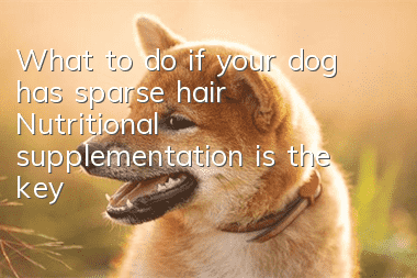 What to do if your dog has sparse hair? Nutritional supplementation is the key