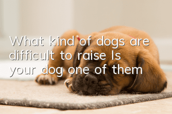 What kind of dogs are difficult to raise? Is your dog one of them?