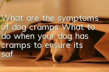 What are the symptoms of dog cramps? What to do when your dog has cramps to ensure its safety