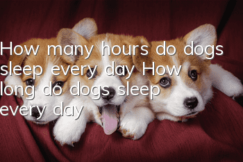 How many hours do dogs sleep every day? How long do dogs sleep every day?