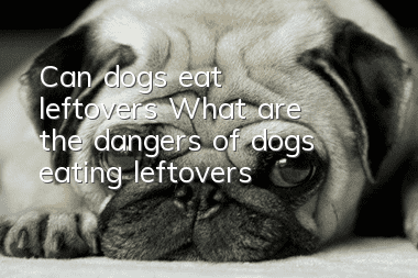 Can dogs eat leftovers? What are the dangers of dogs eating leftovers?