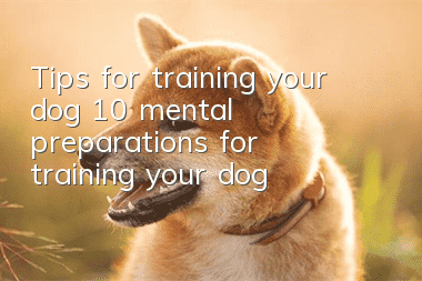 Tips for training your dog 10 mental preparations for training your dog