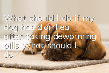 What should I do if my dog has diarrhea after taking deworming pills? What should I do if my dog has diarrhea after taking deworming pills?