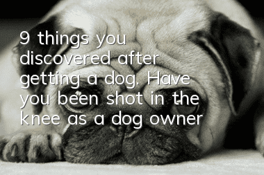 9 things you discovered after getting a dog. Have you been shot in the knee as a dog owner?