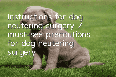 Instructions for dog neutering surgery 7 must-see precautions for dog neutering surgery
