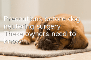 Precautions before dog neutering surgery: These owners need to know