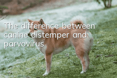 The difference between canine distemper and parvovirus