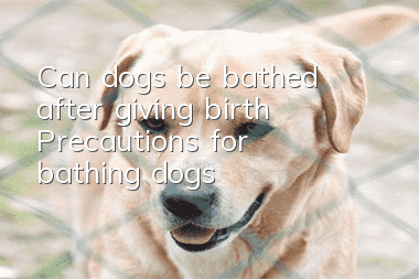 Can dogs be bathed after giving birth? Precautions for bathing dogs
