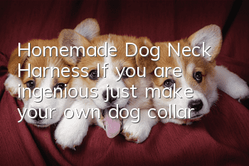 Homemade Dog Neck Harness If you are ingenious, just make your own dog collar!