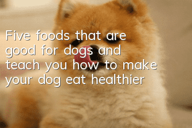 Five foods that are good for dogs and teach you how to make your dog eat healthier
