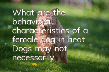 What are the behavioral characteristics of a female dog in heat? Dogs may not necessarily bleed.
