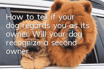How to tell if your dog regards you as its owner? Will your dog recognize a second owner?