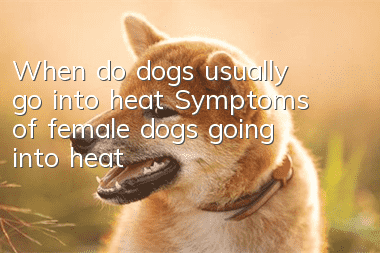When do dogs usually go into heat? Symptoms of female dogs going into heat