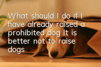 What should I do if I have already raised a prohibited dog? It is better not to raise dogs that are not allowed by the state.