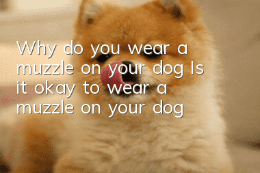 Why do you wear a muzzle on your dog? Is it okay to wear a muzzle on your dog?
