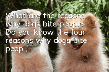 What are the reasons why dogs bite people? Do you know the four reasons why dogs bite people?