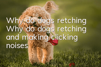 Why do dogs retching? Why do dogs retching and making clicking noises?