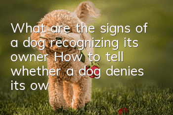 What are the signs of a dog recognizing its owner? How to tell whether a dog denies its owner?