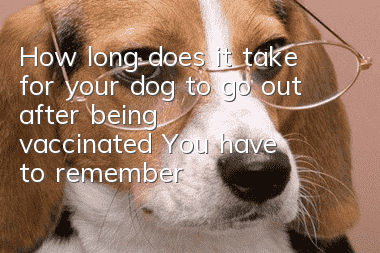 How long does it take for your dog to go out after being vaccinated? You have to remember the time for your dog to be vaccinated.