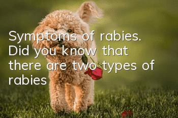Symptoms of rabies. Did you know that there are two types of rabies?