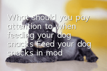 What should you pay attention to when feeding your dog snacks? Feed your dog snacks in moderation