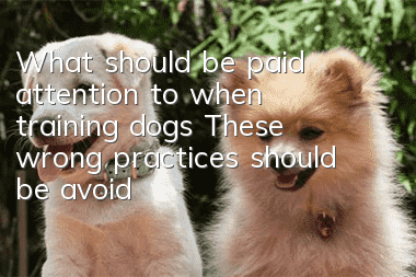 What should be paid attention to when training dogs? These wrong practices should be avoided by owners