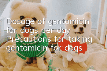Dosage of gentamicin for dogs per day? Precautions for taking gentamicin for dogs