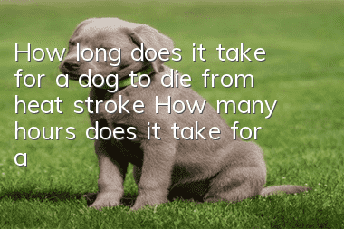 How long does it take for a dog to die from heat stroke? How many hours does it take for a dog to die from heat stroke?