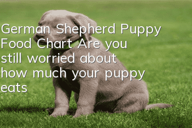 German Shepherd Puppy Food Chart Are you still worried about how much your puppy eats?