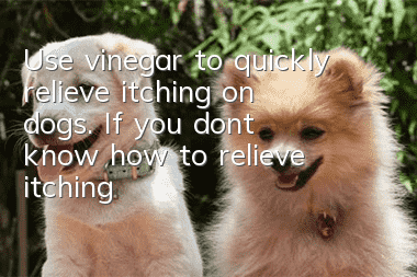 Use vinegar to quickly relieve itching on dogs. If you don’t know how to relieve itching, don’t do it casually.