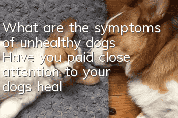 What are the symptoms of unhealthy dogs? Have you paid close attention to your dog’s health?