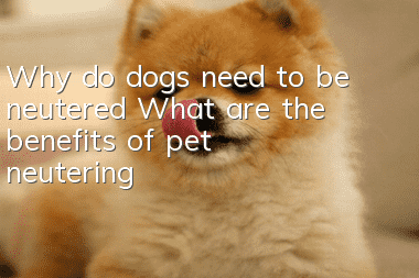 Why do dogs need to be neutered? What are the benefits of pet neutering?