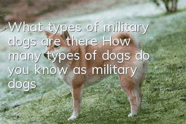 What types of military dogs are there? How many types of dogs do you know as military dogs?