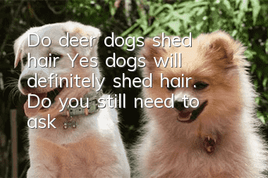 Do deer dogs shed hair? Yes, dogs will definitely shed hair. Do you still need to ask?