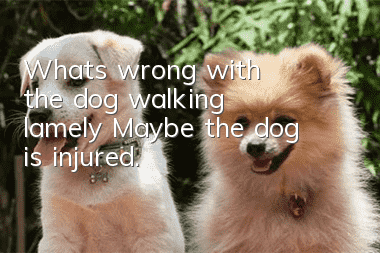 What's wrong with the dog walking lamely? Maybe the dog is injured.