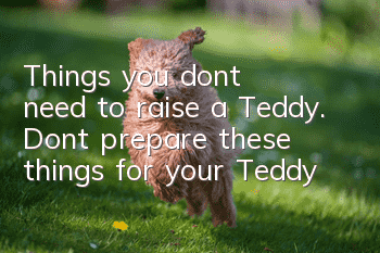 Things you don’t need to raise a Teddy. Don’t prepare these things for your Teddy!