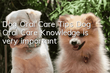 Dog Oral Care Tips Dog Oral Care Knowledge is very important!