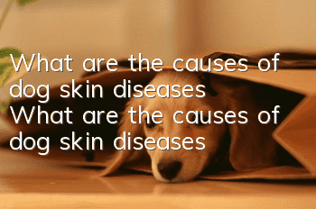 What are the causes of dog skin diseases? What are the causes of dog skin diseases?