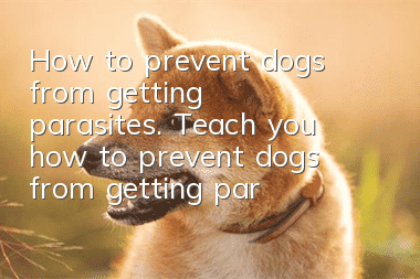 How to prevent dogs from getting parasites. Teach you how to prevent dogs from getting parasites.